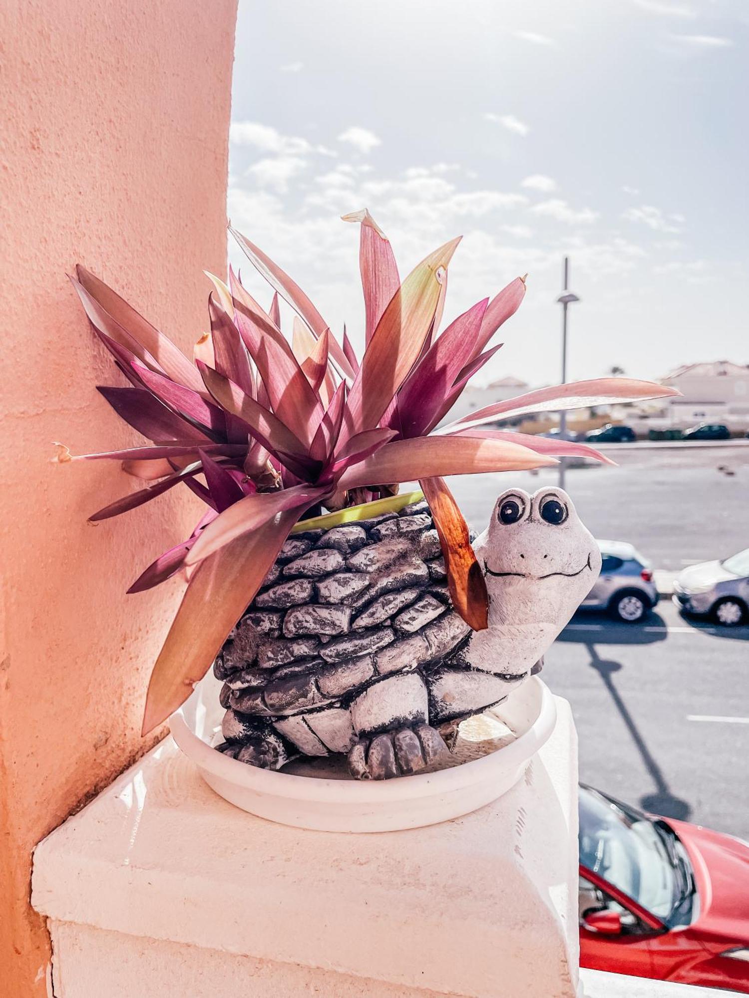 Esmeralda Nani Planta1 Castillo Caleta De Fuste Lägenhet Exteriör bild